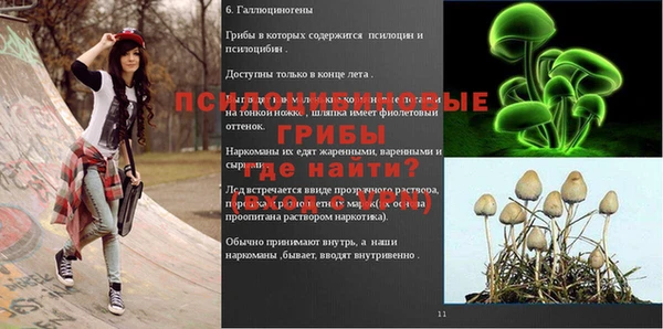 прущая мука Магадан