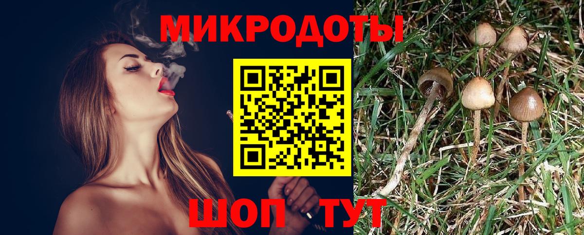 Псилоцибиновые грибы мухоморы Владимир