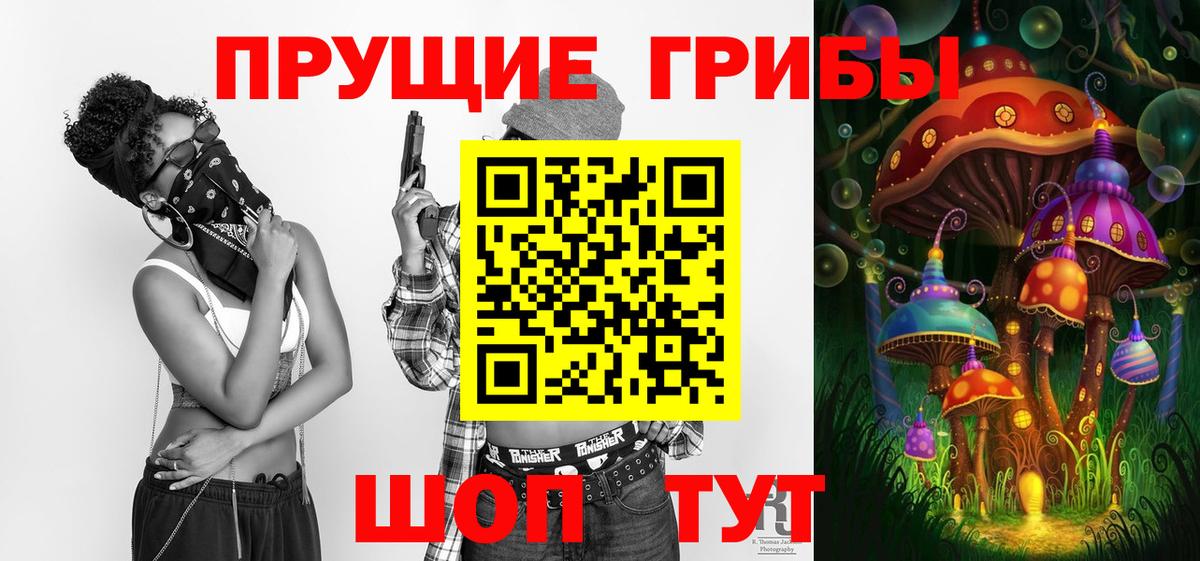 Галлюциногенные грибы Psilocybe  Владимир 