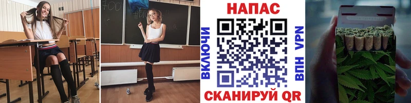 Бошки Шишки конопля Владимир